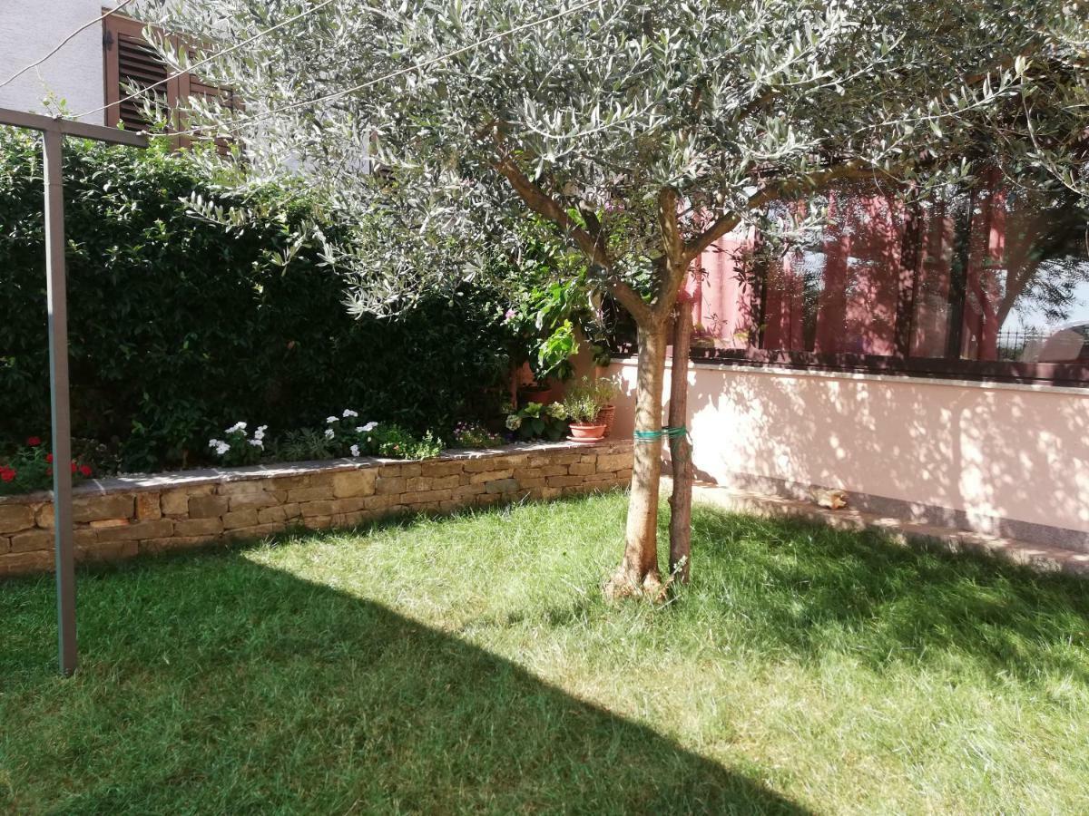 Apartments Merlin Novigrad Istria Eksteriør billede