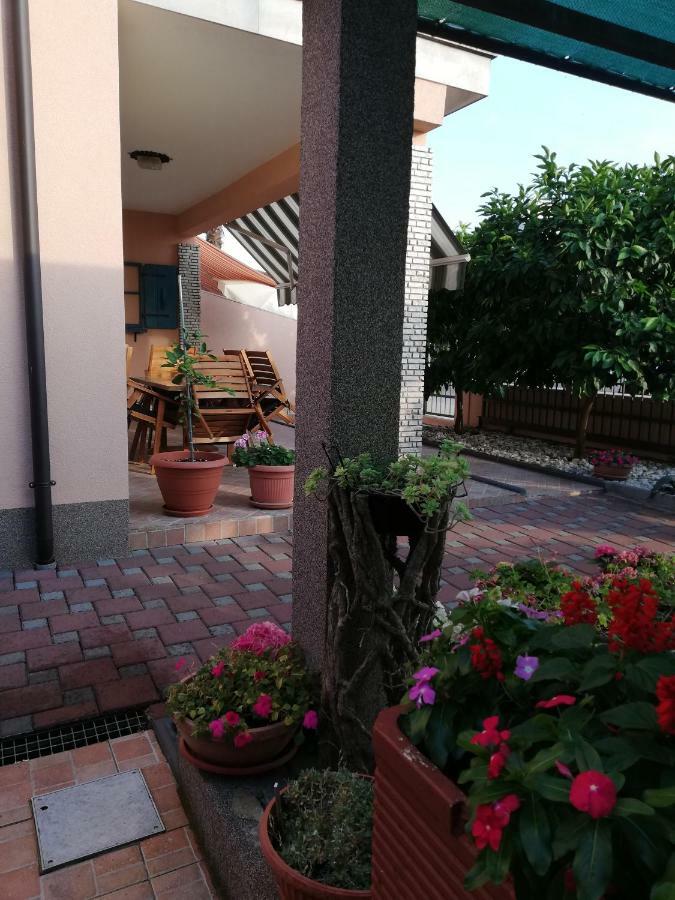 Apartments Merlin Novigrad Istria Eksteriør billede